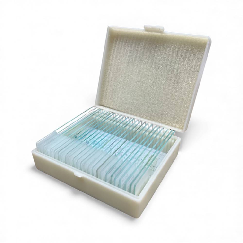 Microscope Slide Set – Basic Botany: Algae to Angiosperms (25 Slides)