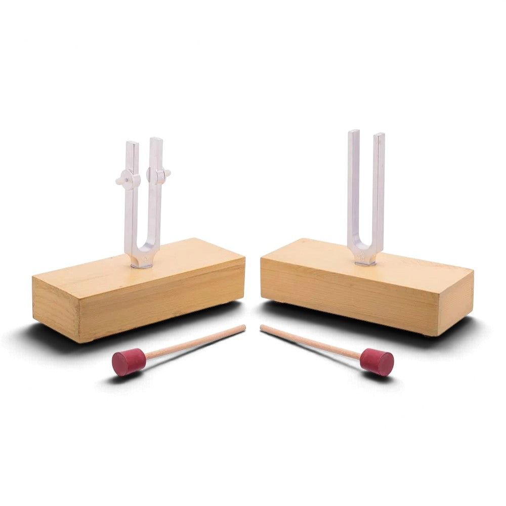 Superior tuning fork resonance set with two aluminium tuning forks, wooden resonance boxes and adjustable sliding weight