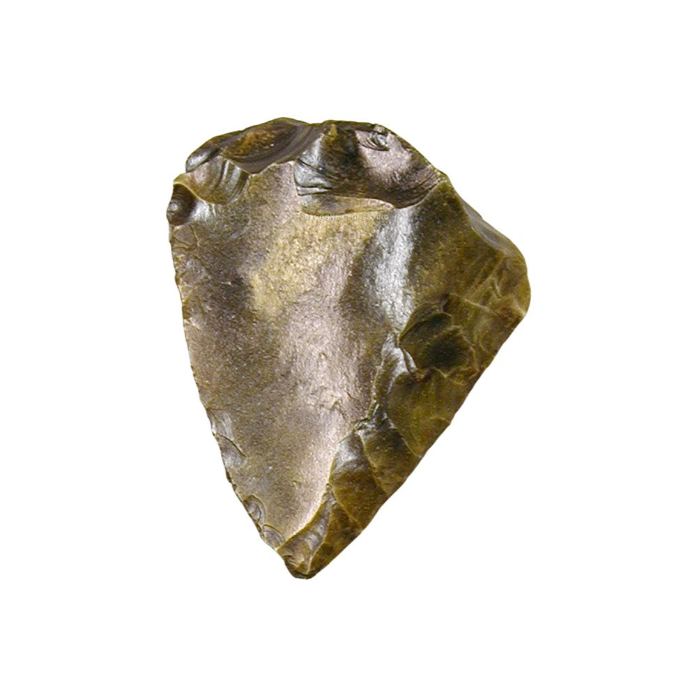 Fossil Hominid Tool Levallois Blade Replica (Bone Clones®)
