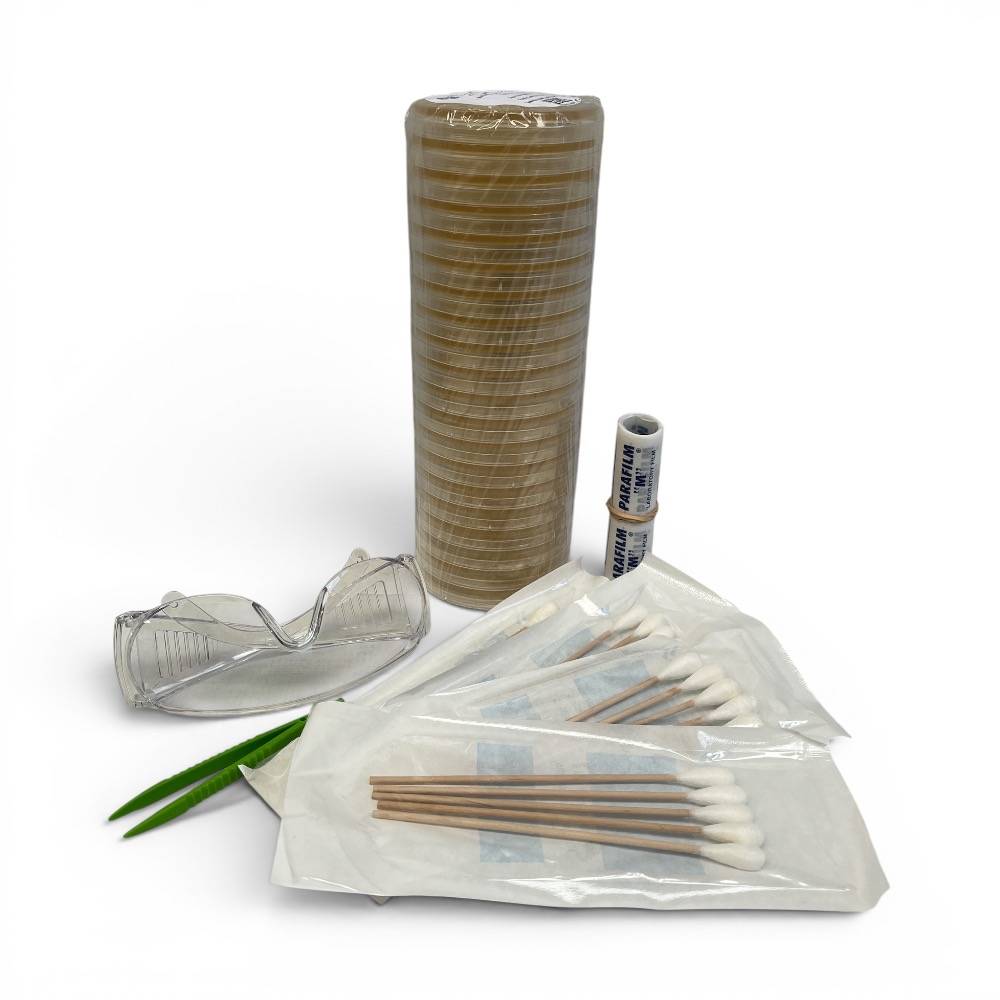 Microorganism Growth & Hygiene Science Fair Kit (Y7–10)