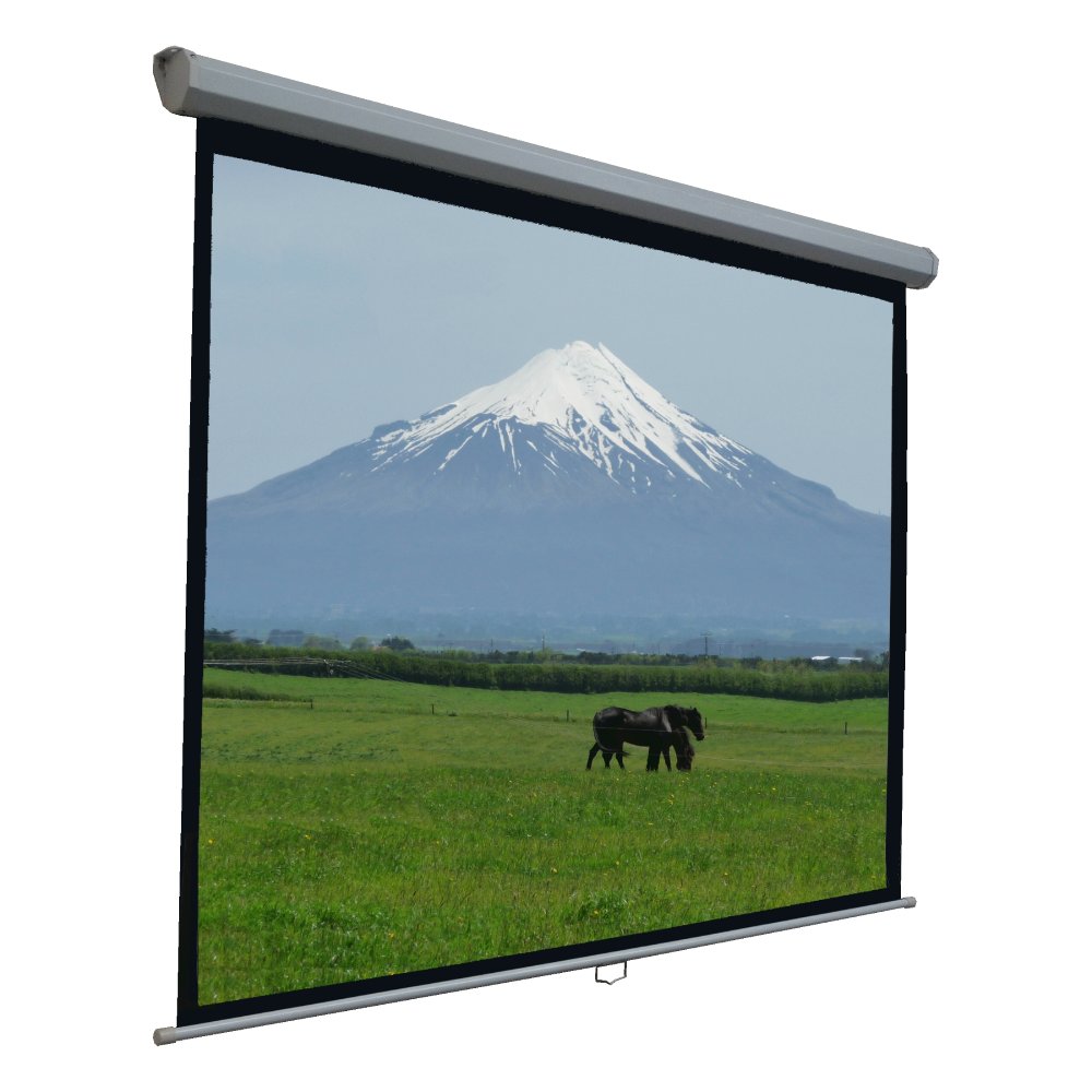 Manual Pull Down Projector Screen 100" 2.21 X 1.25m 16:9 Wide Screen
