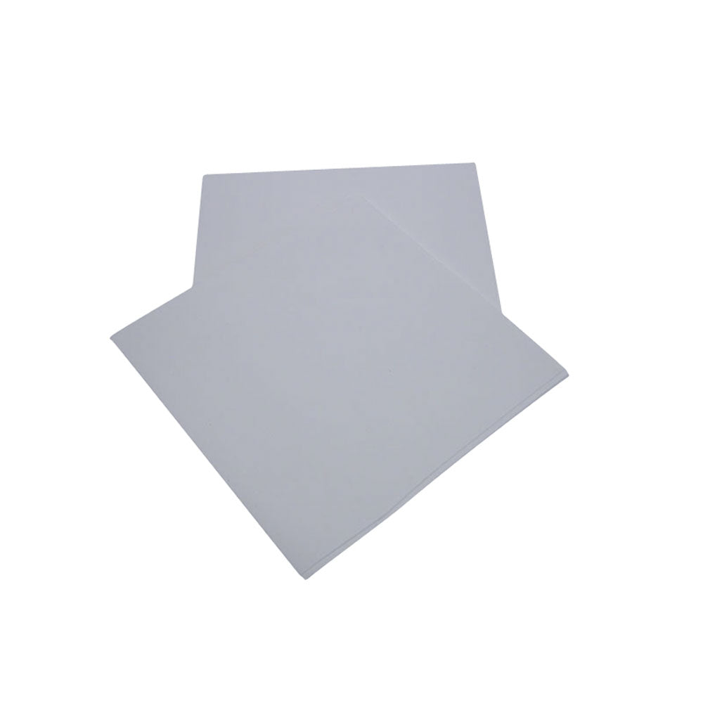 Chromatography Paper 20x20cm Pk10 sheets (Whatman)