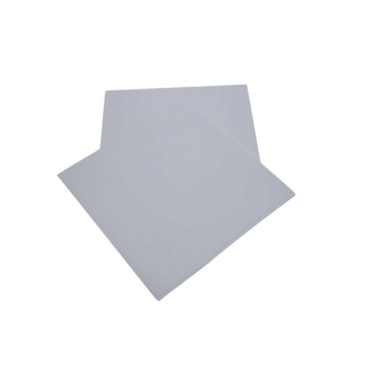 Chromatography Paper 20x20cm Pk10 sheets (Whatman)