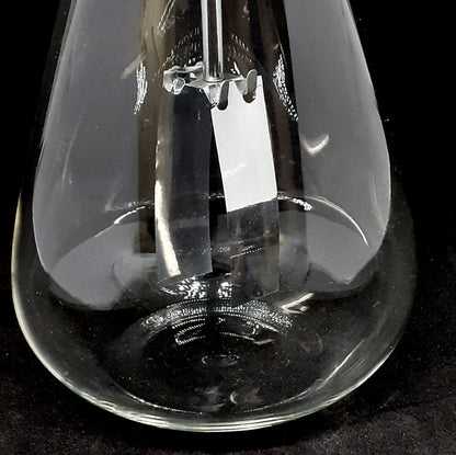 Electroscope Simple Flask Type