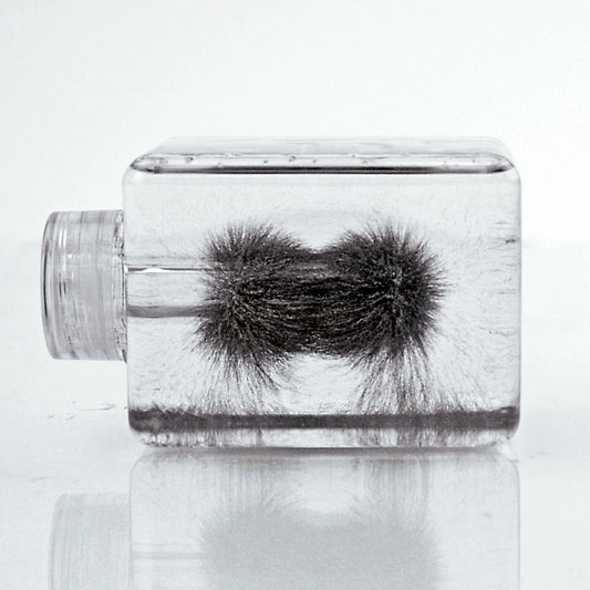 Iron Filings in Silicon Oil Model