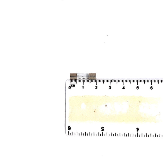 Fuse for Microscope