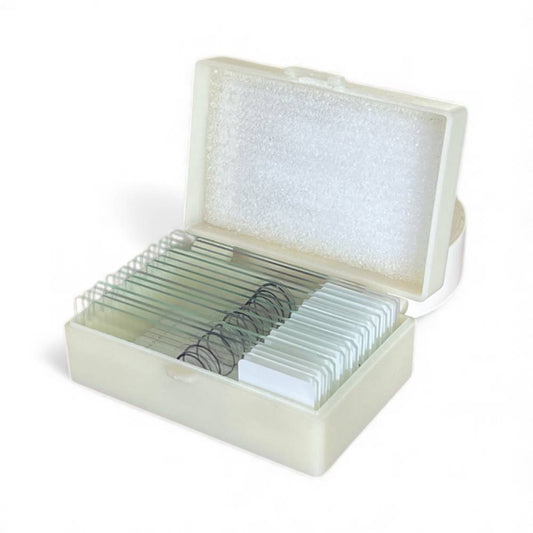 Introductory Microscope Slide Set – 15 Slides