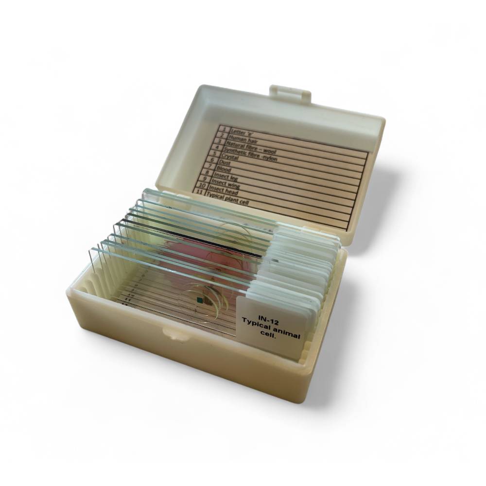 Introductory Prepared Microscope Slide Set – 12 Specimens