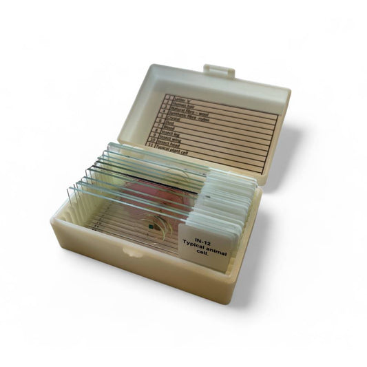 Introductory Prepared Microscope Slide Set – 12 Specimens