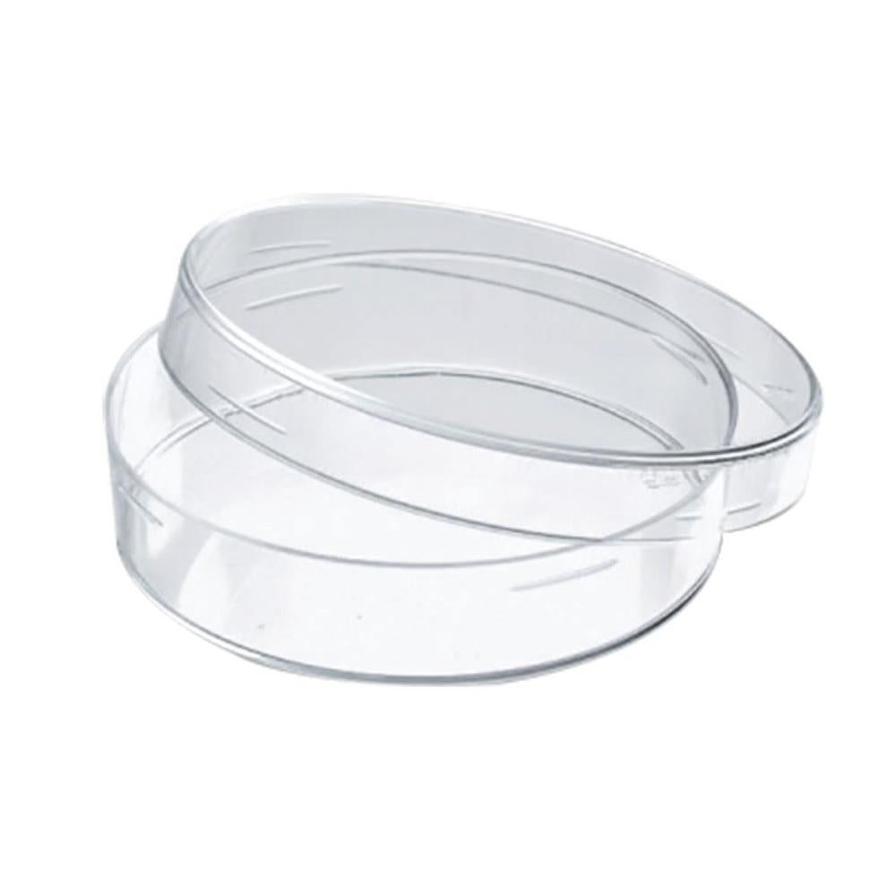 Glass Petri Dish (100x20mm)