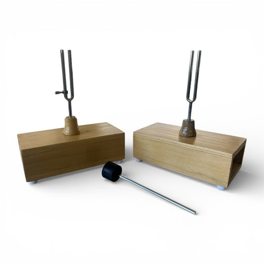 Tuning Fork Resonance Box – Sympathetic Beat Demonstration A426