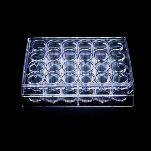 Tissue Culture Plates 24 Well