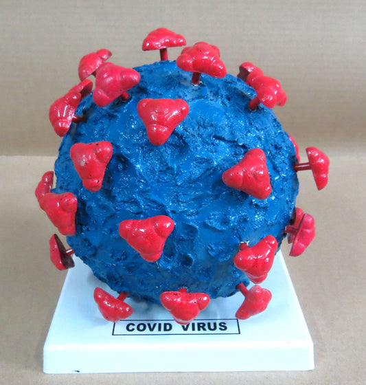 Covid Virus Model