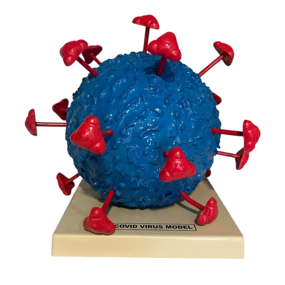 COVID-19 Virus Model
