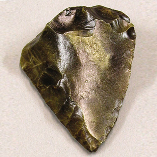 FOSSIL HOMINID TOOL LEVALLOIS BLADE
