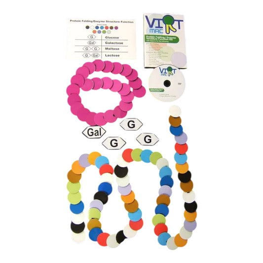 Protein Folding & Enzyme Structure–Function Kit